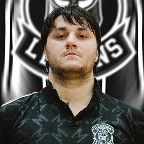 Andrejs Nikolajevs